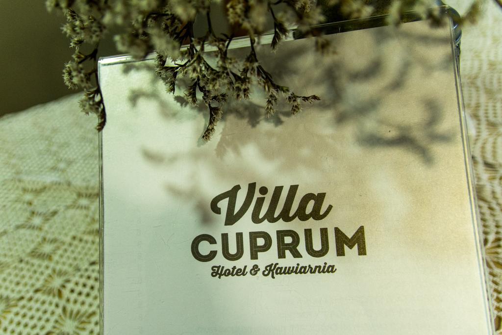 Bed & Breakfast Cuprum Lubin (Lower Silesia)